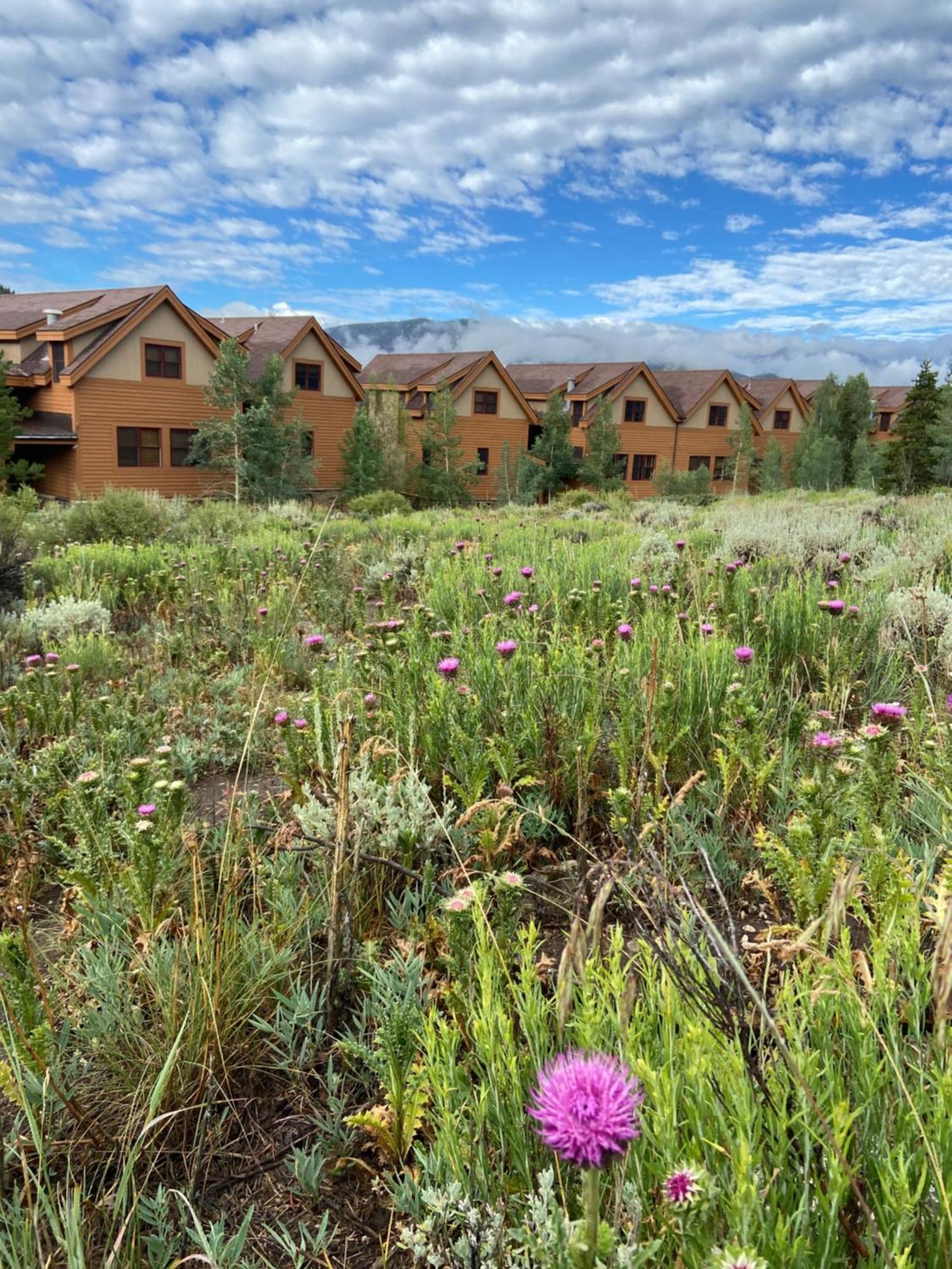 קיסטון Antlers Gulch 303 By Summitcove Lodging מראה חיצוני תמונה